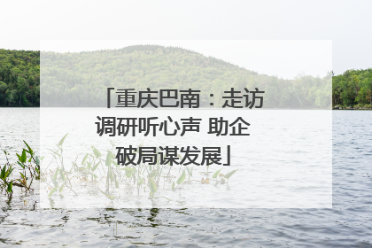 重庆巴南：走访调研听心声 助企破局谋发展