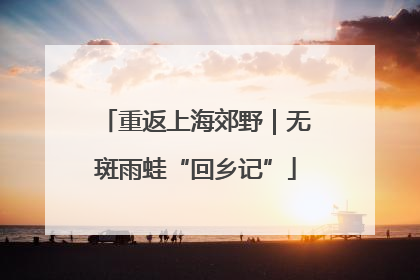 重返上海郊野｜无斑雨蛙“回乡记”