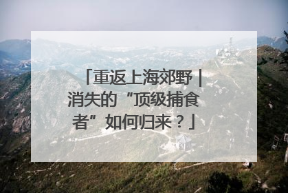 重返上海郊野｜消失的“顶级捕食者”如何归来？