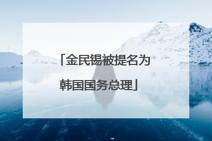 金民锡被提名为韩国国务总理