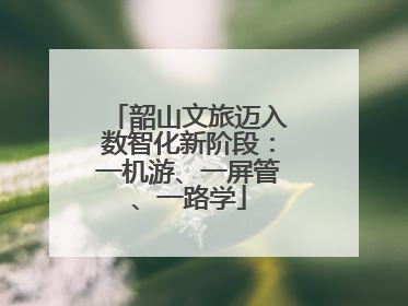 韶山文旅迈入数智化新阶段：一机游、一屏管、一路学