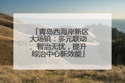 青岛西海岸新区大场镇：多元联动、智治无忧，提升综治中心新效能
