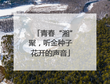青春“湘”聚，听金种子花开的声音