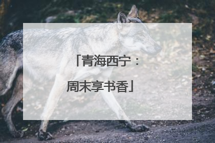 青海西宁：周末享书香