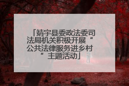 靖宇县委政法委司法局机关积极开展“公共法律服务进乡村”主题活动