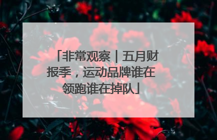 非常观察｜五月财报季，运动品牌谁在领跑谁在掉队