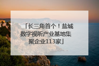 长三角首个！盐城数字视听产业基地集聚企业113家