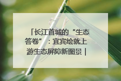 长江首城的“生态答卷”：宜宾绘就上游生态屏障新图景｜中华环保世纪行
