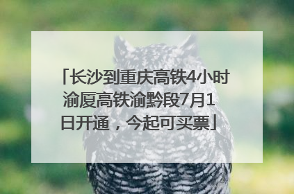 长沙到重庆高铁4小时 渝厦高铁渝黔段7月1日开通，今起可买票