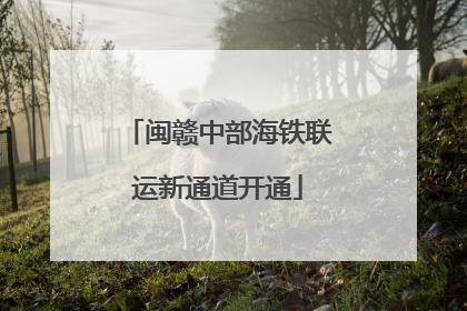 闽赣中部海铁联运新通道开通