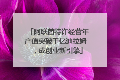 阿联酋特许经营年产值突破千亿迪拉姆，成创业新引擎