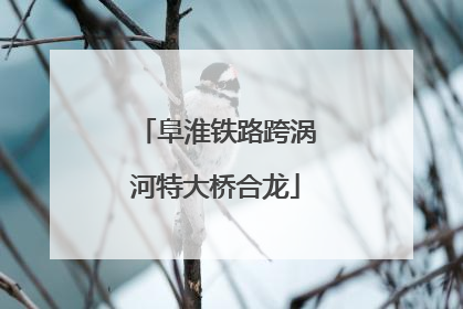 阜淮铁路跨涡河特大桥合龙