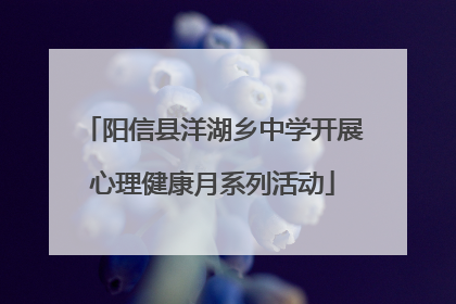 阳信县洋湖乡中学开展心理健康月系列活动