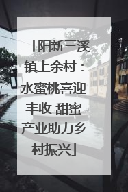 阳新三溪镇上余村：水蜜桃喜迎丰收 甜蜜产业助力乡村振兴