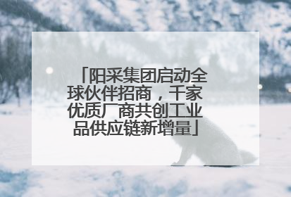 阳采集团启动全球伙伴招商，千家优质厂商共创工业品供应链新增量