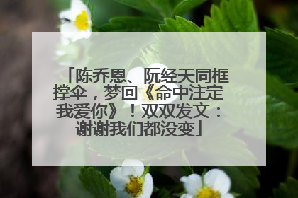 陈乔恩、阮经天同框撑伞，梦回《命中注定我爱你》！双双发文：谢谢我们都没变