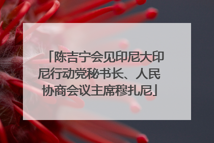 陈吉宁会见印尼大印尼行动党秘书长、人民协商会议主席穆扎尼