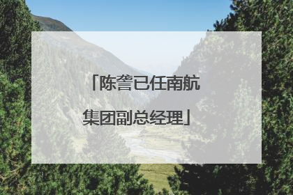 陈詟已任南航集团副总经理
