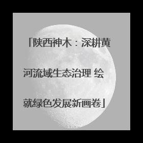 陕西神木：深耕黄河流域生态治理 绘就绿色发展新画卷