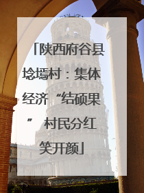 陕西府谷县埝墕村：集体经济“结硕果” 村民分红笑开颜