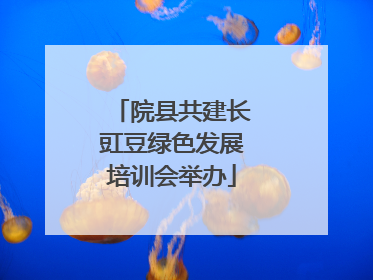 院县共建长豇豆绿色发展培训会举办