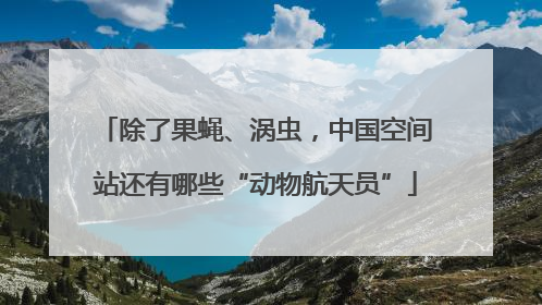 除了果蝇、涡虫，中国空间站还有哪些“动物航天员”