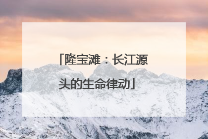 隆宝滩：长江源头的生命律动
