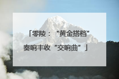 零陵：“黄金搭档”奏响丰收“交响曲”