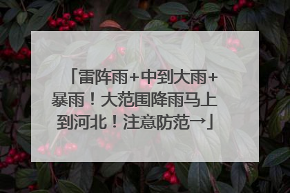 雷阵雨+中到大雨+暴雨！大范围降雨马上到河北！注意防范→