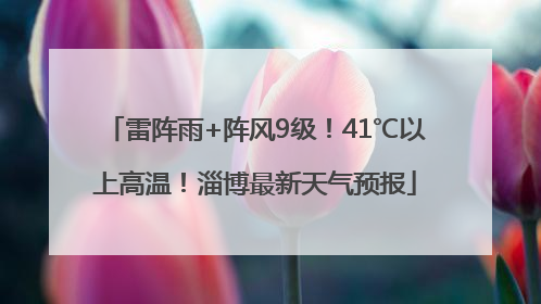 雷阵雨+阵风9级！41℃以上高温！淄博最新天气预报