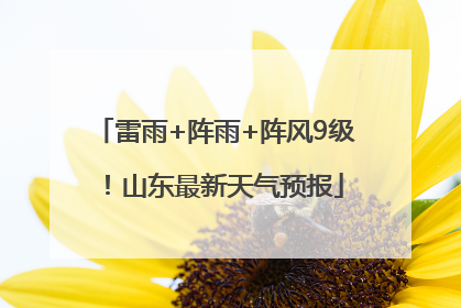 雷雨+阵雨+阵风9级！山东最新天气预报