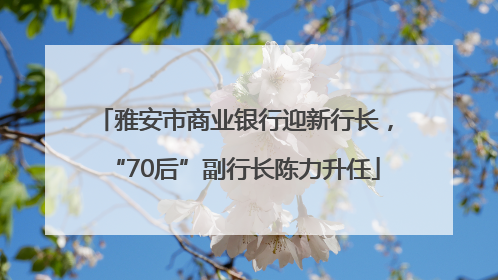 雅安市商业银行迎新行长，“70后”副行长陈力升任