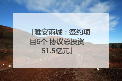 雅安雨城：签约项目6个 协议总投资51.5亿元