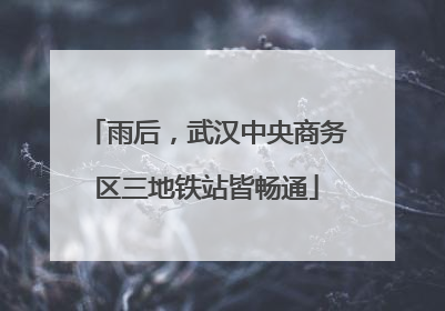 雨后，武汉中央商务区三地铁站皆畅通