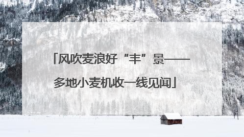 风吹麦浪好“丰”景——多地小麦机收一线见闻