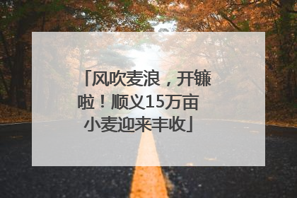 风吹麦浪，开镰啦！顺义15万亩小麦迎来丰收