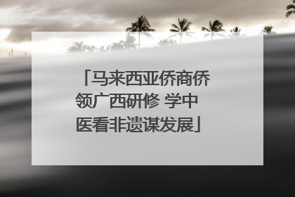 马来西亚侨商侨领广西研修 学中医看非遗谋发展