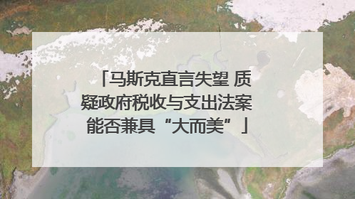 马斯克直言失望 质疑政府税收与支出法案能否兼具“大而美”