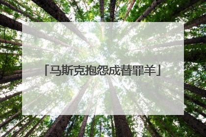 马斯克抱怨成替罪羊