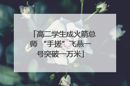 高二学生成火箭总师 “手搓”飞燕一号突破一万米
