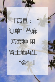 高县：“订单”苎麻巧套种 闲置土地再生“金”