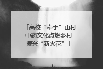 高校“牵手”山村 中药文化点燃乡村振兴“新火花”