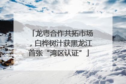 龙粤合作共拓市场，白桦树汁获黑龙江首张“湾区认证”