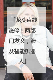 龙头直线涨停！两部门发文，涉及智能机器人