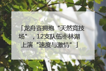 龙舟赛拥抱“天然竞技场”，12支队伍枣林湖上演“速度与激情”