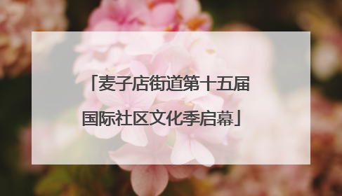 麦子店街道第十五届国际社区文化季启幕