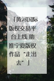 黄河国际版权交易平台上线 助推宁夏版权作品“走出去”