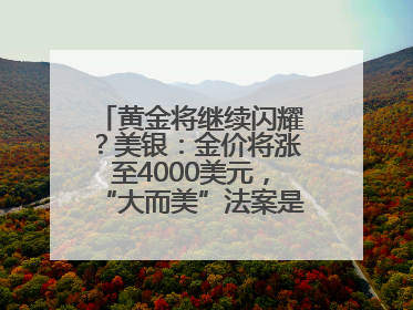 黄金将继续闪耀？美银：金价将涨至4000美元，“大而美”法案是关键！