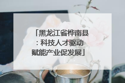 黑龙江省桦南县：科技人才驱动 赋能产业促发展