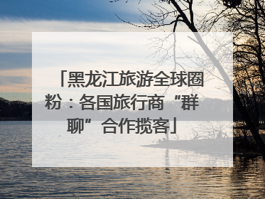 黑龙江旅游全球圈粉：各国旅行商“群聊”合作揽客